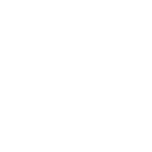 aig white logo